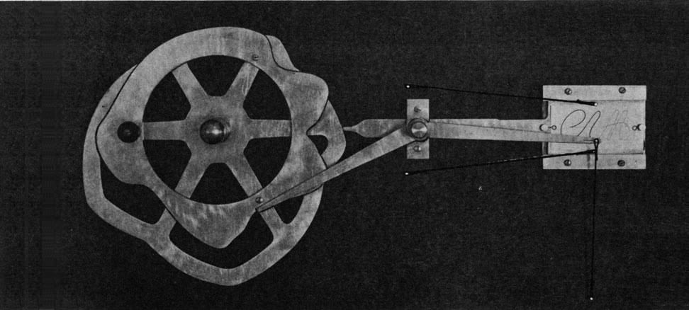 jepson_1905_fig34_972w438.jpg