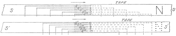 1884_309600_fig1b.jpg.jpg